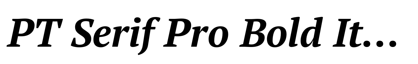 PT Serif Pro Bold Italic